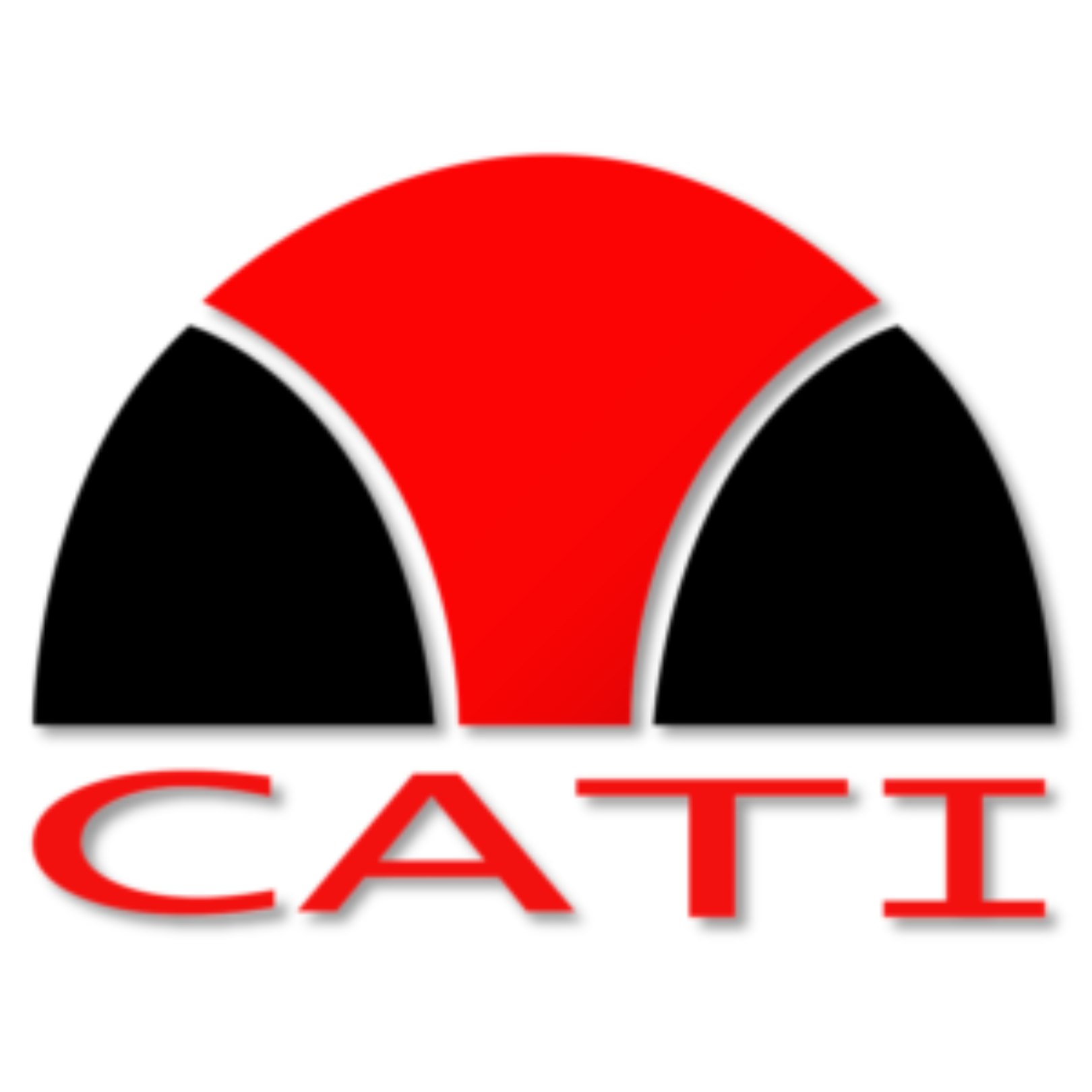 CATI logo